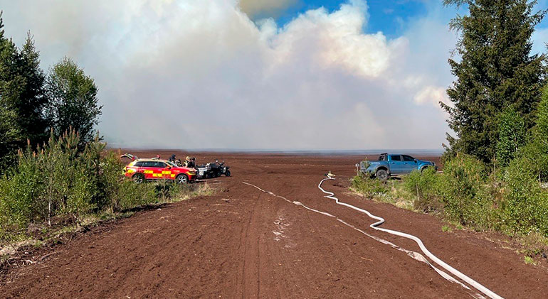 Massa rök och tvås langar som är utrullade på den torka jorden.