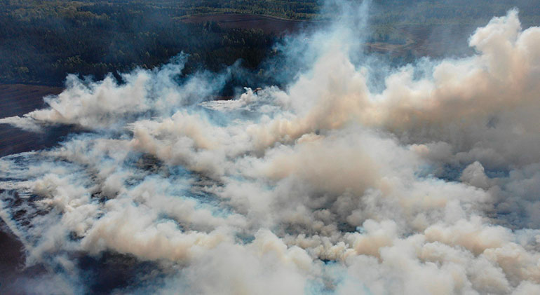 Massa vitgrå rök över en skog.