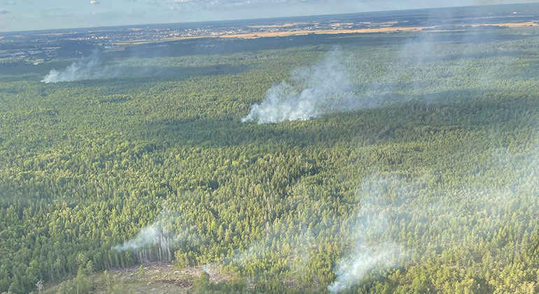 Bild tagen från luften över en skog. Man ser att det ryker på flera ställen.