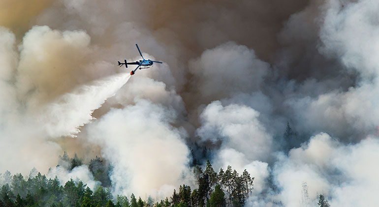 En helikopter vattenbombar en skogsbrand, man ser bara tjock, grå rök och några grantoppar nedanför.