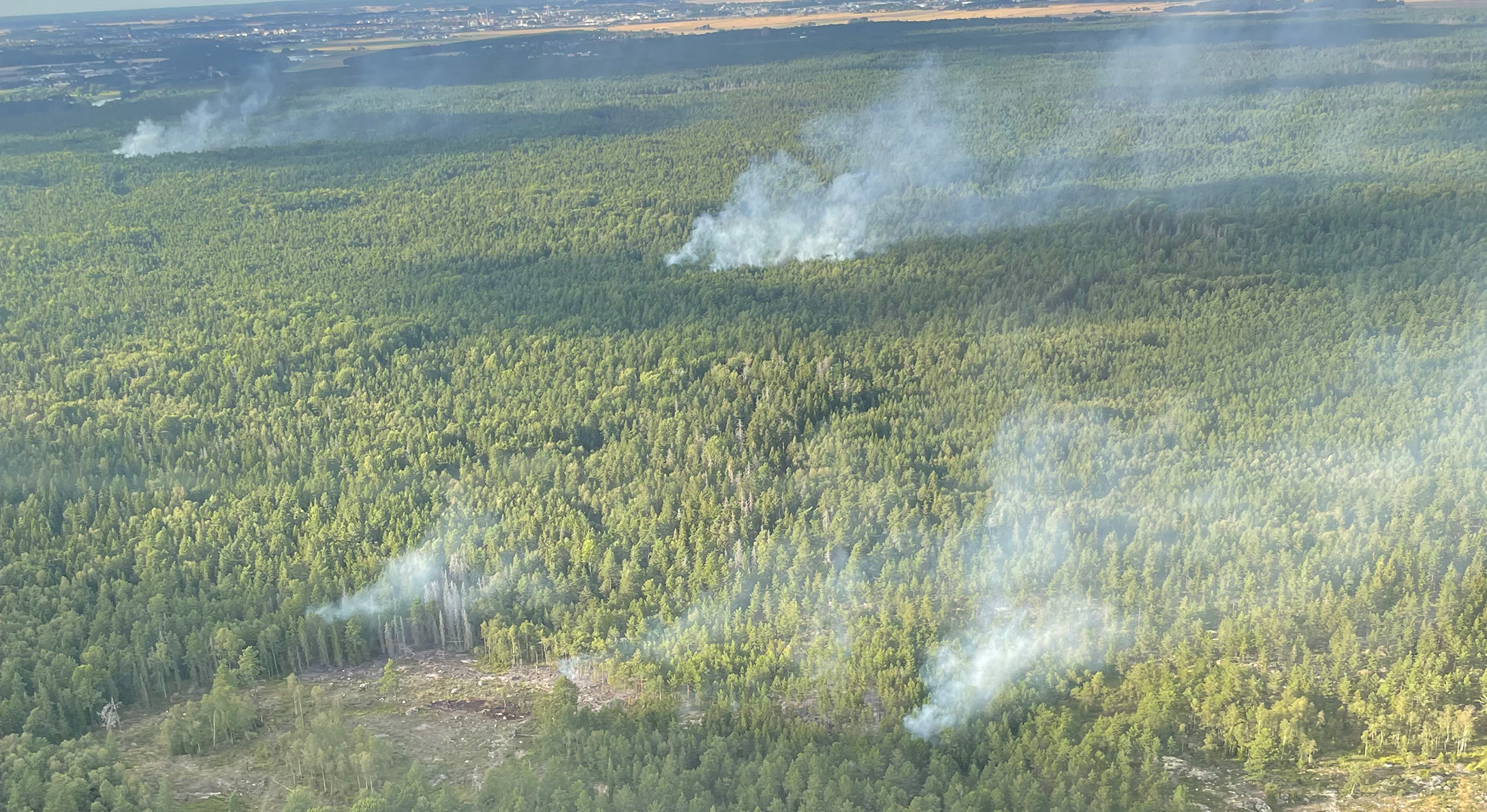 Bild på skogsbrand